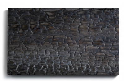 Zwarthout — Charred Wood Façade