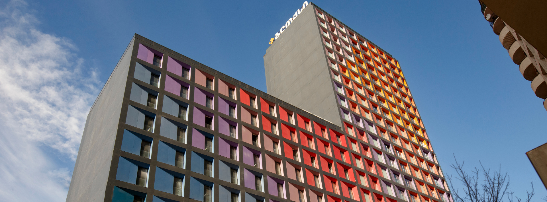 პროექტი